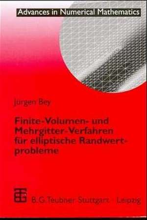 Finite-Volumen- und Mehrgitter-Verfahren für elliptische Randwertprobleme de Jürgen Bey