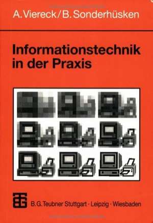 Informationstechnik in der Praxis: Eine Einführung in die Wirtschaftsinformatik de Axel Viereck