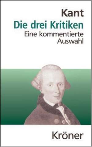 Die drei Kritiken in ihrem Zusammenhang mit dem Gesamtwerk de Raymund Schmidt