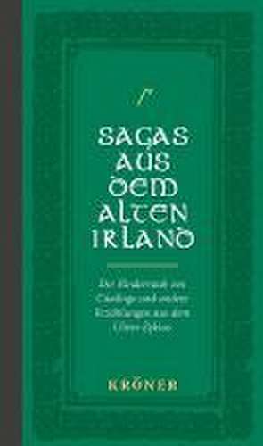 Sagas aus dem Alten Irland de Matthias Egeler