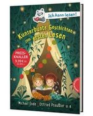 Ich kann lesen!: Kunterbunte Geschichten zum ersten Lesen de Nina Dulleck