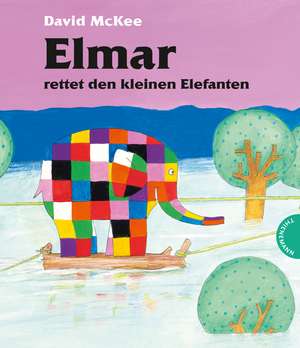 Elmar rettet den kleinen Elefanten de David McKee