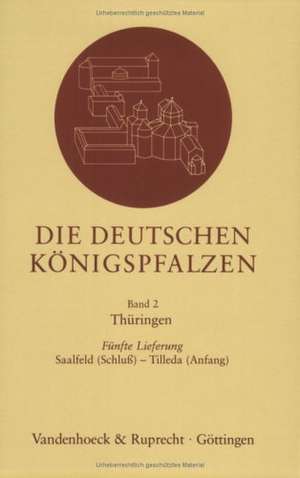 Die Deutschen Konigspfalzen. Lieferung 2,5: Saalfeld (Schluss) - Tilleda (Anfang) de Caspar Ehlers