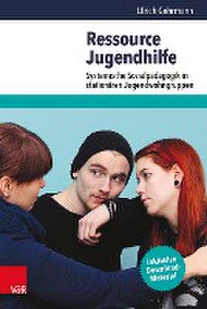 Ressource Jugendhilfe de Ulrich Gehrmann