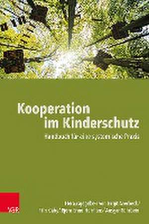 Kooperation im Kinderschutz de Birgit Averbeck