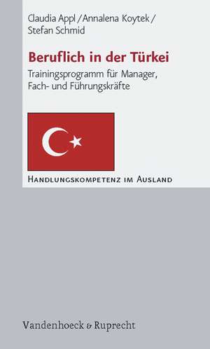 Beruflich in Der Turkei: Trainingsprogramm Fur Manager, Fach- Und Fuhrungskrafte de Stefan Schmid