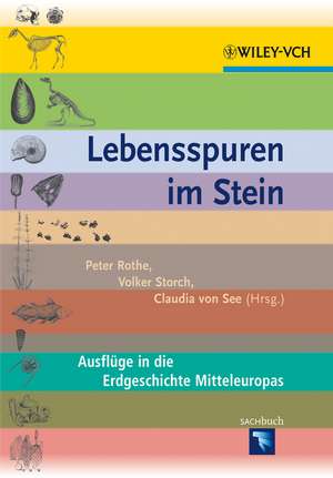 Lebensspuren im Stein – Ausfluge in die Erdgeschichte Mitteleuropas de P Rothe