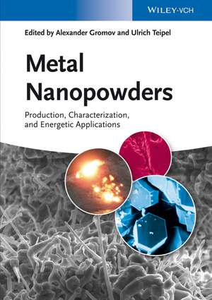 Metal Nanopowders – Production, Characterization and Energetic Application de AA Gromov