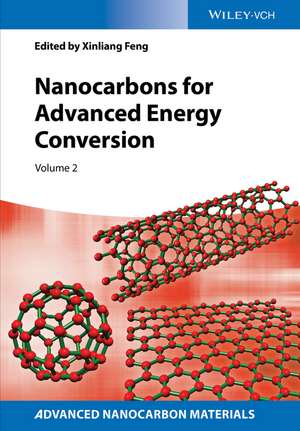 Nanocarbons for Advanced Energy Conversion de X Feng