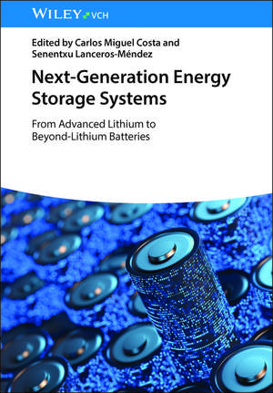 Next-Generation Energy Storage Systems de Carlos Miguel Costa