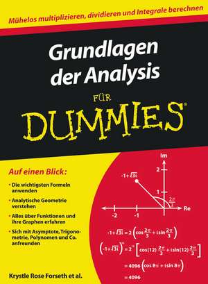 Grundlagen der Analysis fur Dummies de KR Forseth