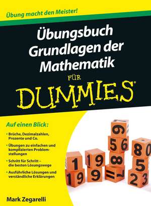 Übungsbuch Grundlagen der Mathematik für Dummies de Mark Zegarelli