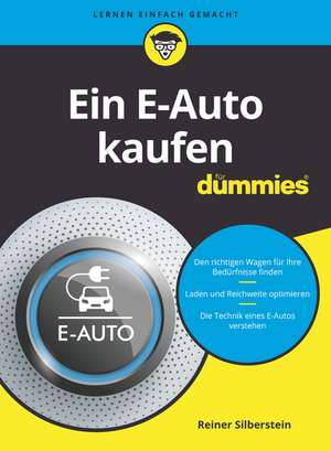 Ein E–Auto kaufen für Dummies de R Silberstein