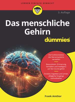 Das menschliche Gehirn für Dummies 3e de F Amthor