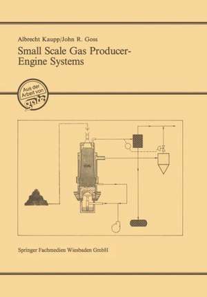 Small Scale Gas Producer-Engine Systems de Albrecht Kaupp