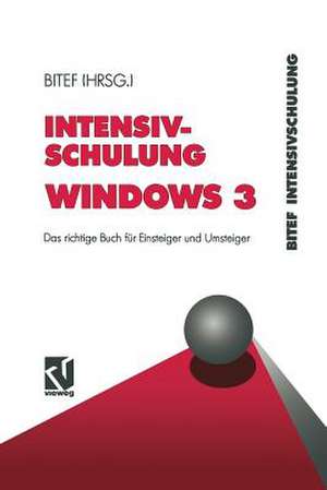 Intensivschulung Windows 3: Das richtige Buch für Einsteiger und Umsteiger de Heidi Raddatz-Löffler