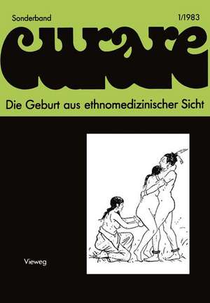 Die Geburt aus ethnomedizinischer Sicht: Beiträge und Nachträge zur IV. Internationalen Fachtagung der Arbeitsgemeinschaft Ethnomedizin über traditionelle Geburtshilfe und Gynäkologie in Göttingen 8.–10.12.1978 de Wulf Schiefenhövel