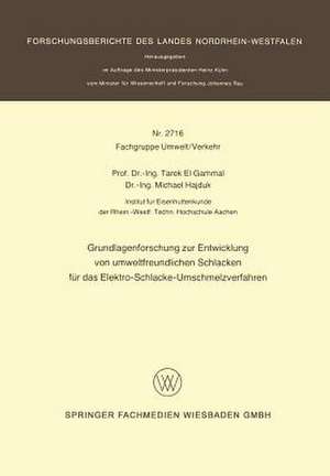 Grundlagenforschung zur Entwicklung von umweltfreundlichen Schlacken für das Elektro-Schlacke-Umschmelzverfahren de Tarek el Gammal