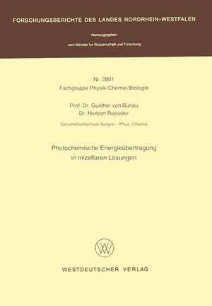 Photochemische Energieübertragung in mizellaren Lösungen de Günther von Bünau