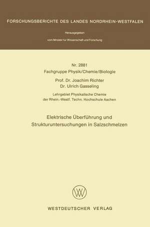 Elektrische Überführung und Strukturuntersuchungen in Salzschmelzen de Joachim Richter