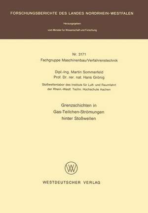 Grenzschichten in Gas-Teilchen-Strömungen hinter Stoßwellen de Martin Sommerfeld