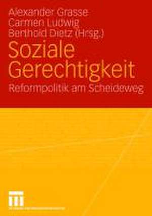 Soziale Gerechtigkeit: Reformpolitik am Scheideweg Festschrift für Dieter Eißel zum 65. Geburtstag de Alexander Grasse