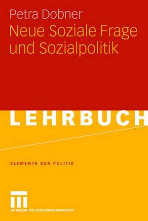 Neue Soziale Frage und Sozialpolitik de Petra Dobner