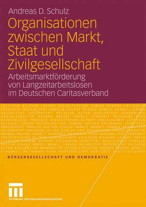 Organisationen zwischen Markt, Staat und Zivilgesellschaft: Arbeitsmarktförderung von Langzeitarbeitslosen im Deutschen Caritasverband de Andreas D. Schulz