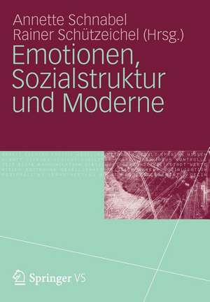 Emotionen, Sozialstruktur und Moderne de Annette Schnabel