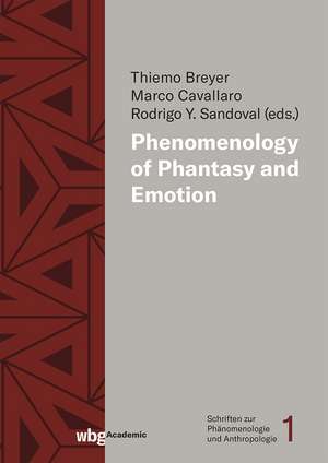 Phenomenology of Phantasy and Emotions de Thiemo Breyer