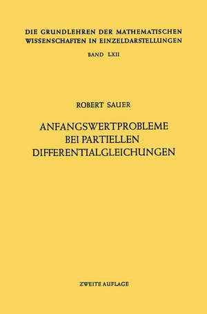 Anfangswertprobleme bei Partiellen Differentialgleichungen de Robert Sauer