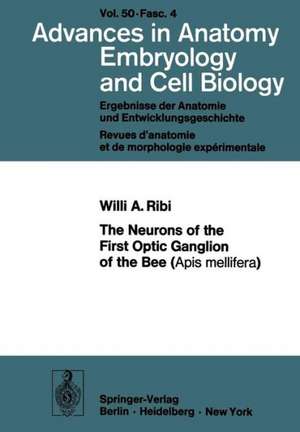 The Neurons of the First Optic Ganglion of the Bee (Apis mellifera) de W.A. Ribi