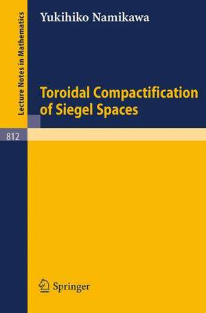 Toroidal Compactification of Siegel Spaces de Y. Namikawa