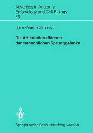 Die Artikulationsflächen der menschlichen Sprunggelenke de Hans-Martin Schmidt