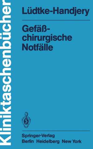 Gefäßchirurgische Notfälle de A. Lüdtke-Handjery