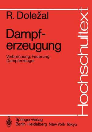 Dampferzeugung: Verbrennung, Feuerung, Dampferzeuger de Richard Dolezal