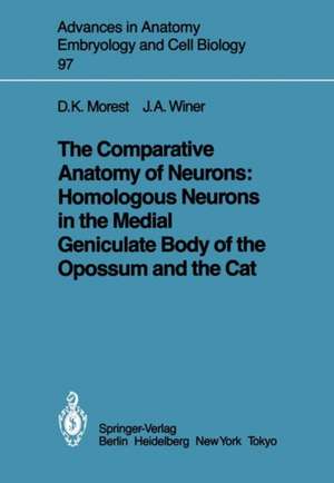 The Comparative Anatomy of Neurons: Homologous Neurons in the Medial Geniculate Body of the Opossum and the Cat de D. Kent Morest