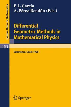 Differential Geometric Methods in Mathematical Physics: Proceedings of the 14th International Conference held in Salamanca, Spain, June 24 - 29, 1985 de Pedro L. Garcia