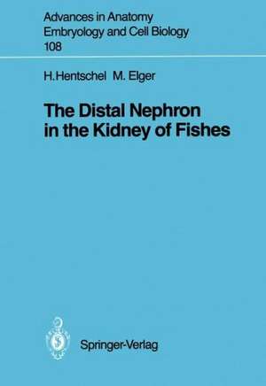 The Distal Nephron in the Kidney of Fishes de Hartmut Hentschel