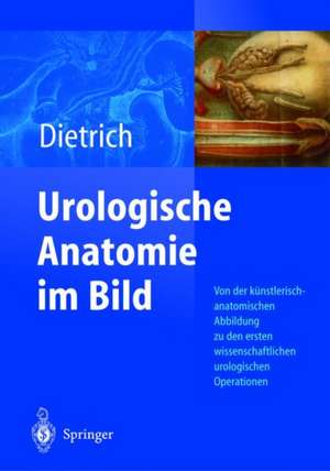 Urologische Anatomie Im Bild