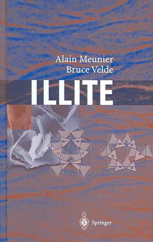 Illite: Origins, Evolution and Metamorphism de Alain Meunier