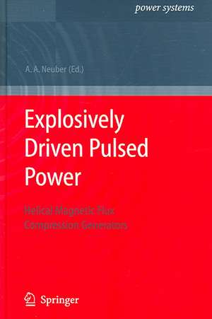 Explosively Driven Pulsed Power: Helical Magnetic Flux Compression Generators de Andreas A. Neuber