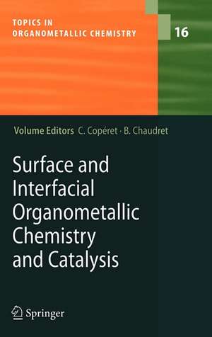 Surface and Interfacial Organometallic Chemistry and Catalysis de C. Copéret