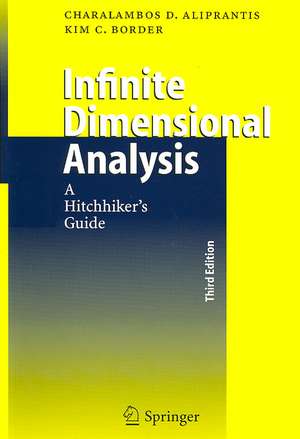 Infinite Dimensional Analysis: A Hitchhiker's Guide de Charalambos D. Aliprantis