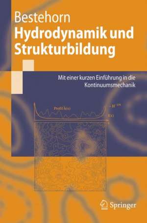 Hydrodynamik und Strukturbildung: Mit einer kurzen Einführung in die Kontinuumsmechanik de Michael Bestehorn