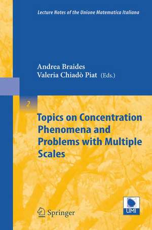 Topics on Concentration Phenomena and Problems with Multiple Scales de Andrea Braides