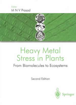 Heavy Metal Stress in Plants: From Biomolecules to Ecosystems de M. N. V. Prasad