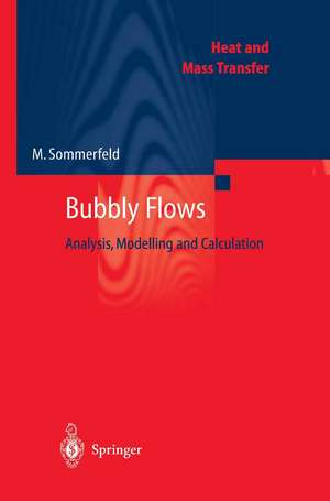 Bubbly Flows: Analysis, Modelling and Calculation de Martin Sommerfeld