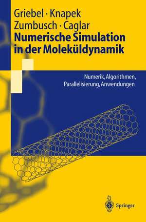 Numerische Simulation in der Moleküldynamik: Numerik, Algorithmen, Parallelisierung, Anwendungen de Michael Griebel