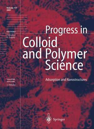 Adsorption and Nanostructures de Imre Dékány